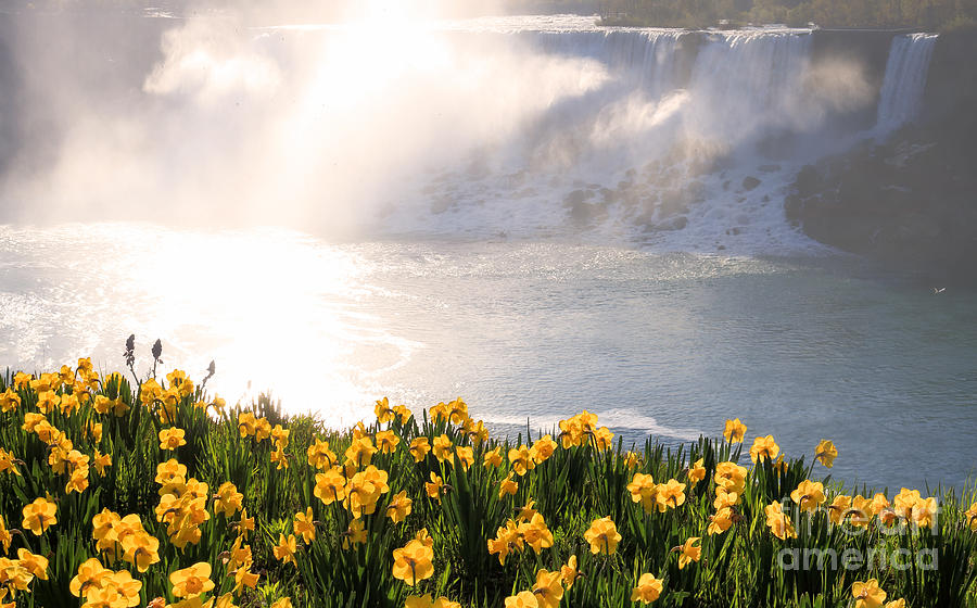 Niagara American Falls Spring Morning Photograph by Charline Xia