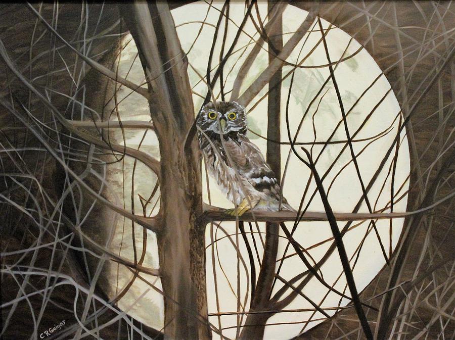 Night Owl Painting By Cynthia Geiger Fine Art America