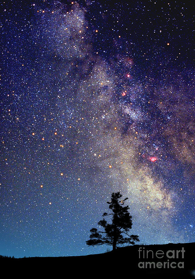 Night Sky #1 Photograph by Larry Landolfi