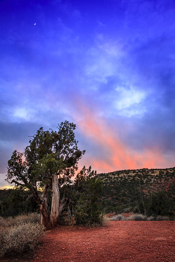 Nightfall in Arizona #2 Photograph by Alexey Stiop