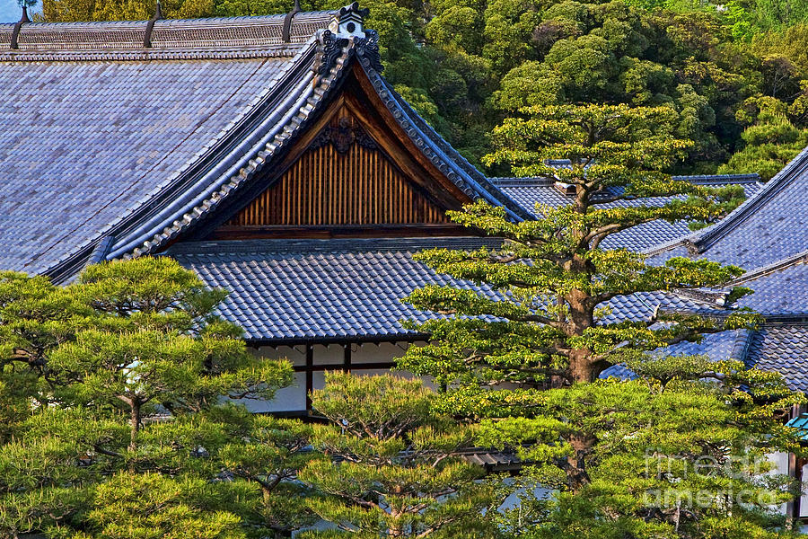 Nijo Castle Gardens Kyoto Japan #1 Photograph by Waterdancer 