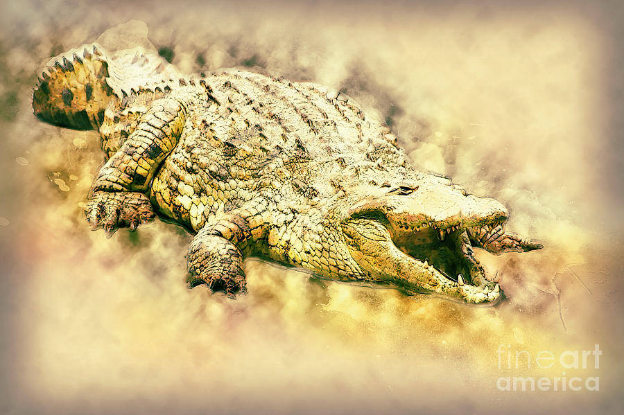 Crocodile Photograph - Nile River Crocodile #1 by Humorous Quotes