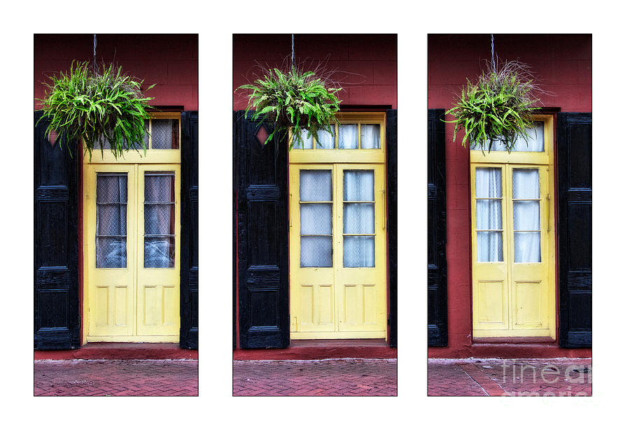 NOLA Doors Triptych #2 #1 Photograph by Jarrod Erbe