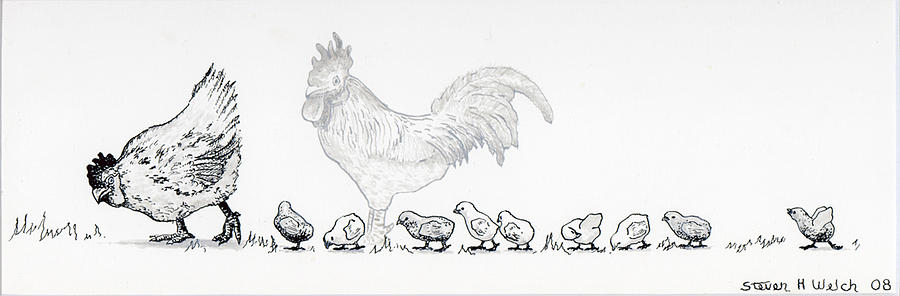 Chickens Drawing - Norman and Kathy and Kids by Steven Welch Chickens Drawing - Norman and Kathy and Kids by Steven Welch