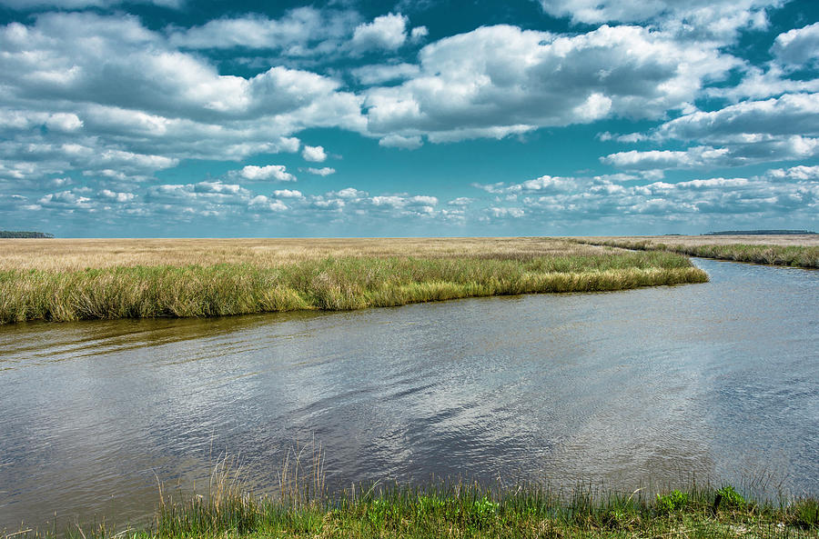 North Carolina Outer Banks salt marsh. #1 Photograph by WAZgriffin Digital