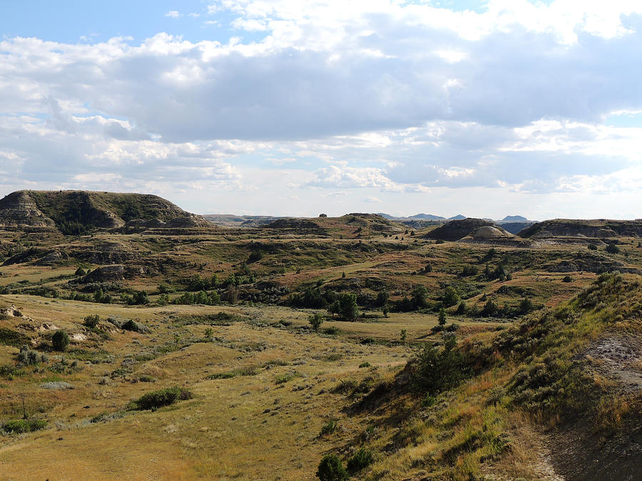 North Dakota Landscape Study #2 Photograph by Andrew Chambers