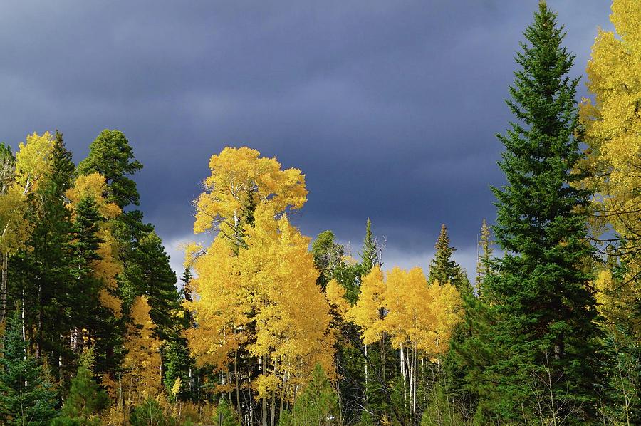 North Rim fall by Broderick Delaney North Rim fall by Broderick Delaney