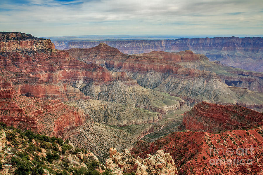 Grand Canyon National Park Photograph - North Rim View #1 by Robert Bales