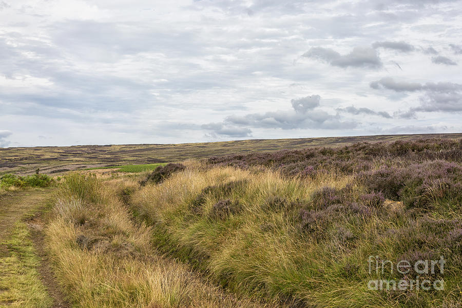 Beautiful North Yorkshire Moors Photograph by Patricia Hofmeester