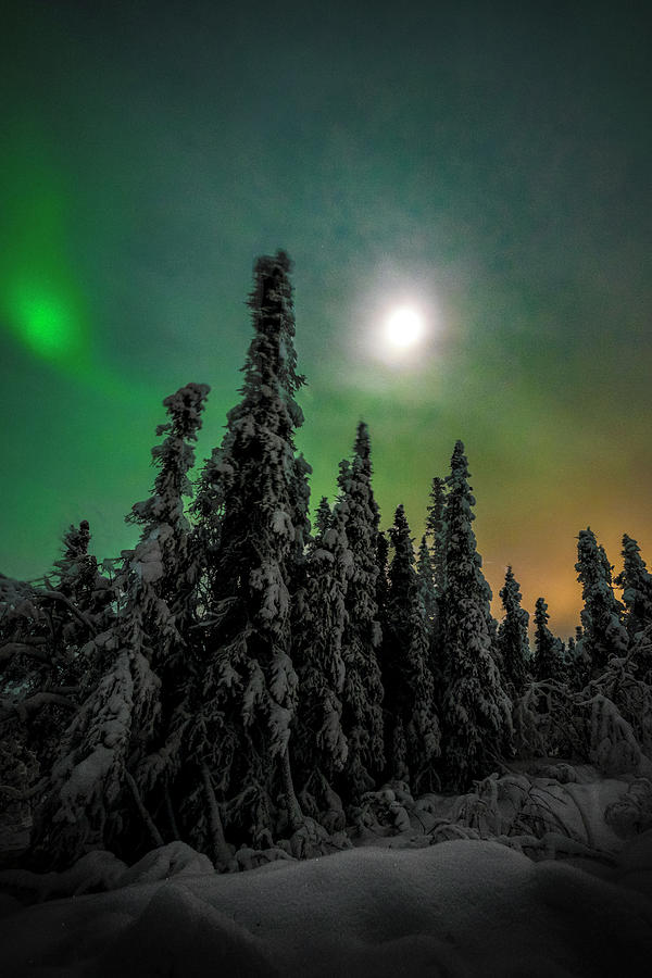 Northern Light #2 Photograph by Robert Fawcett