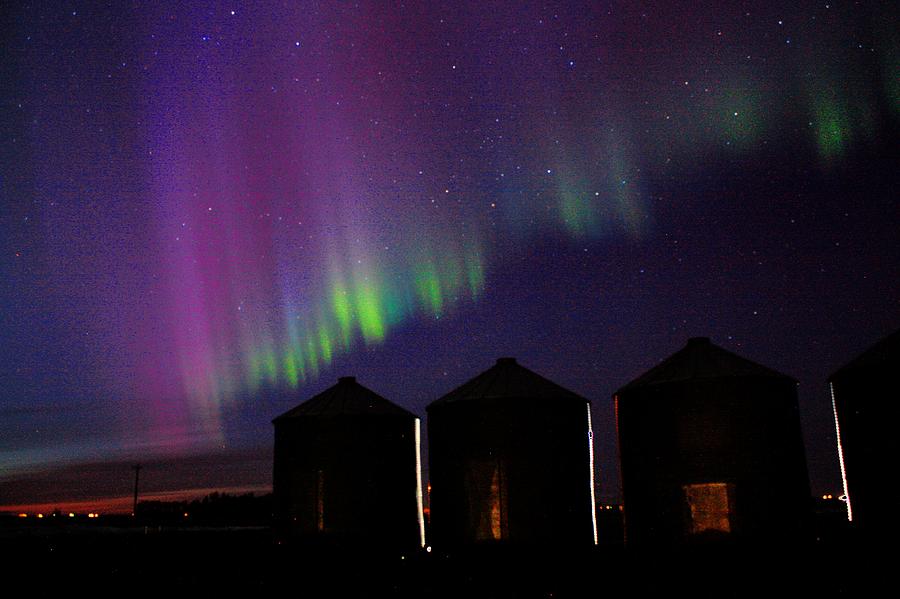 Northern Lights #1 Photograph by David Matthews