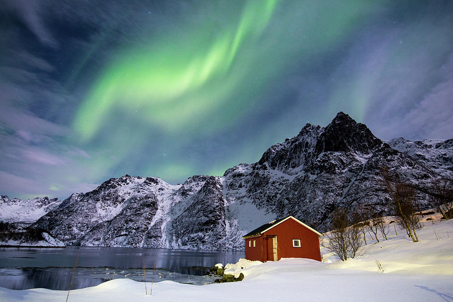 Northern lights in Norway #1 Photograph by Francesco Riccardo Iacomino