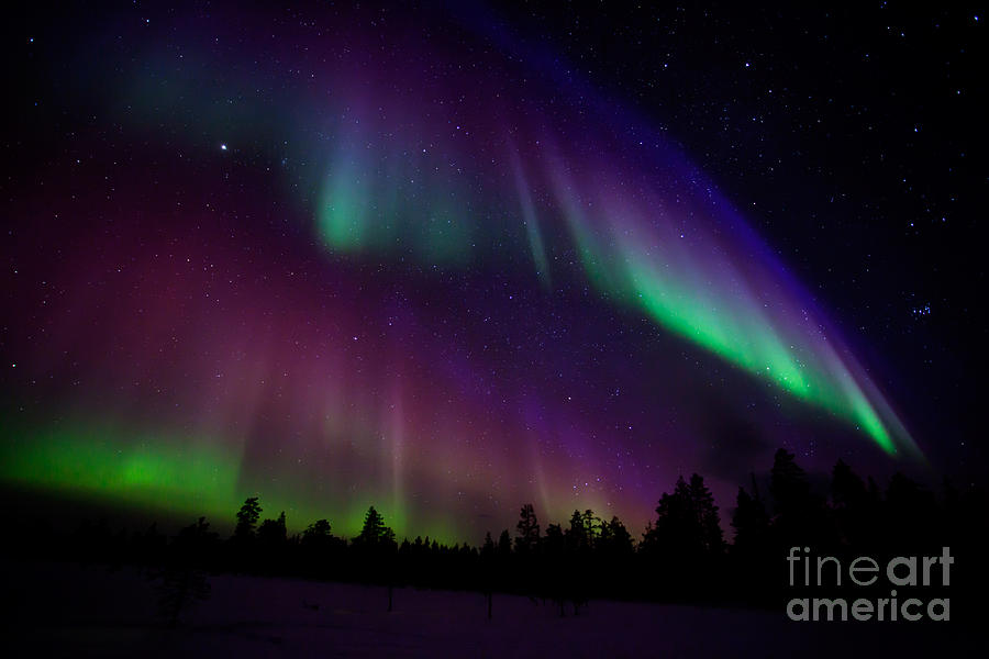 Northern lights #1 Photograph by Kati Finell