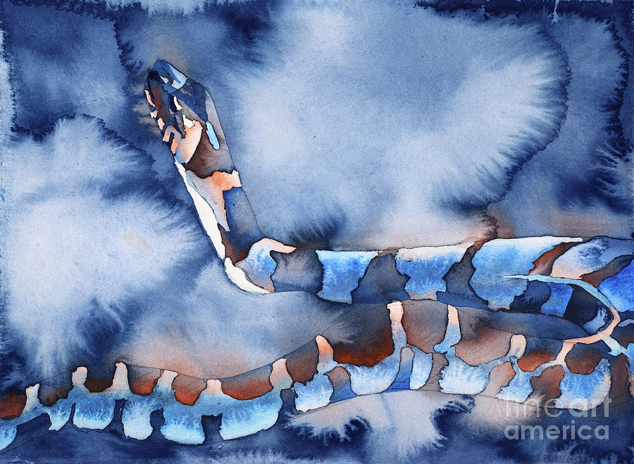 Northern Water Snake colorful watercolor painting- watercolor gi #1 Painting by Ryan Fox