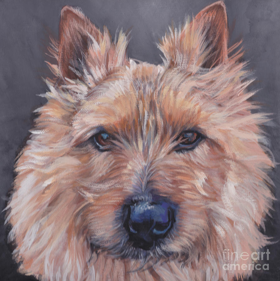 Norwich Terrier #1 Painting by Lee Ann Shepard