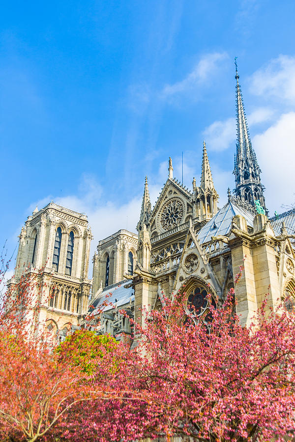 Architecture Photograph - Notre Dame Cathedral in Springtime by Nila Newsom