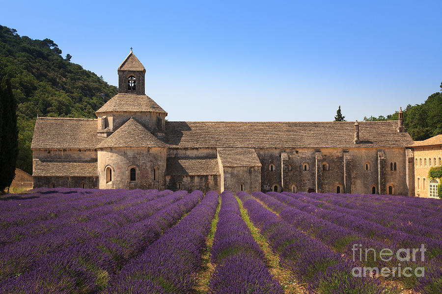 Notre-Dame de Senanque  Abbey Provence France #1 Photograph by Peter Noyce