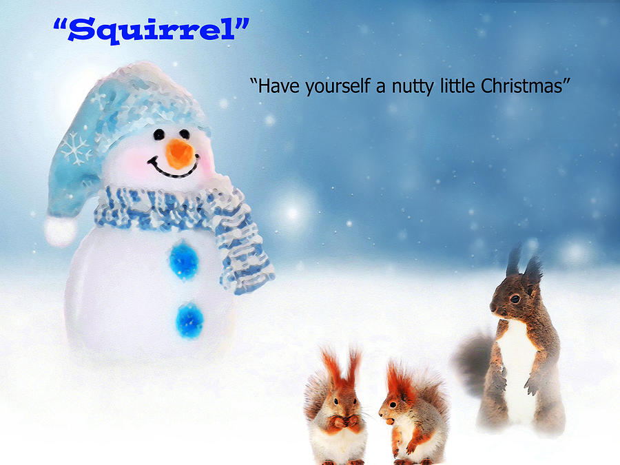 Nutty Little Christmas #1 Photograph by Terril Heilman
