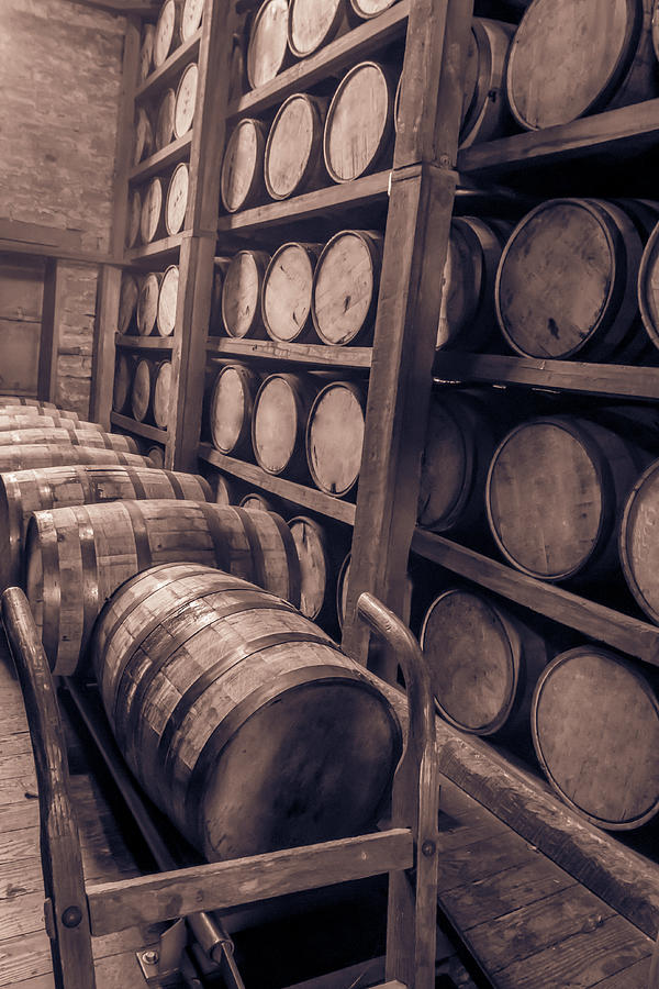 Oak barrels in RIk house #1 Photograph by Karen Foley