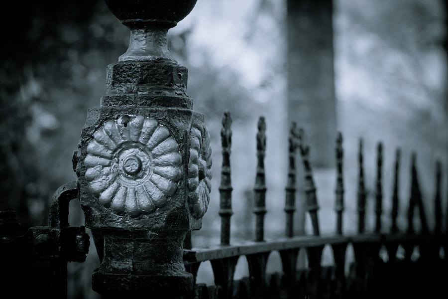 Oakwood Cemetery #2 Photograph by Linda Unger