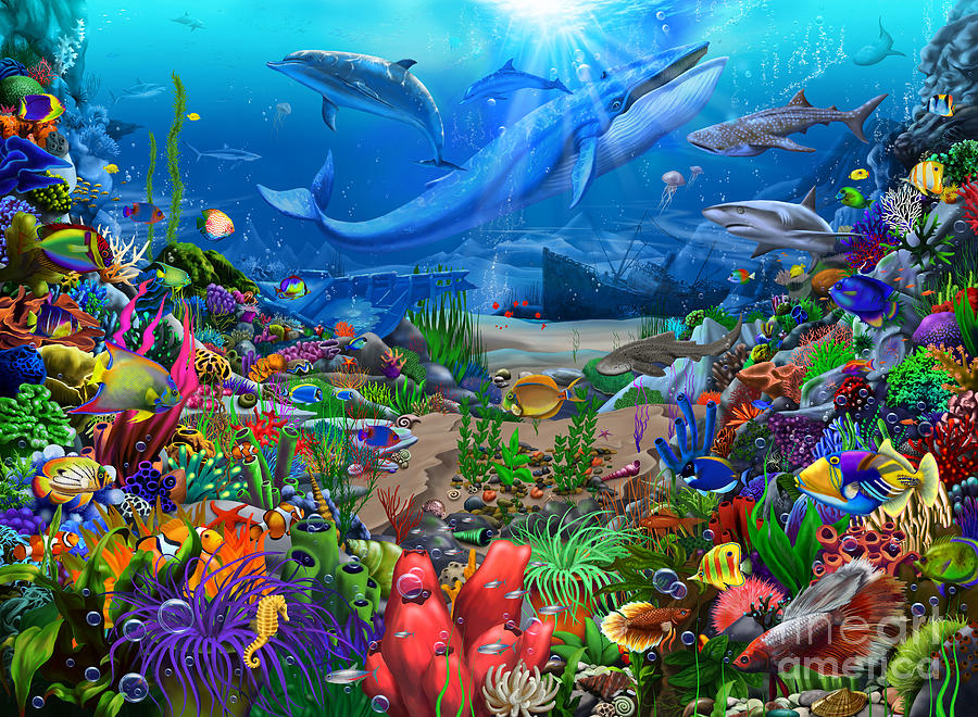 Ocean Wonders #1 by MGL Meiklejohn Graphics Licensing