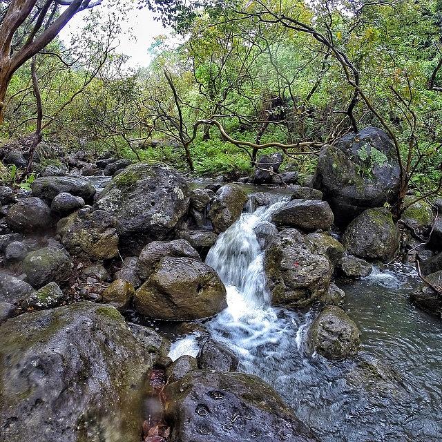 Gopro Photograph - 1 Of The 29 Stream Crossings On The by Brian Governale