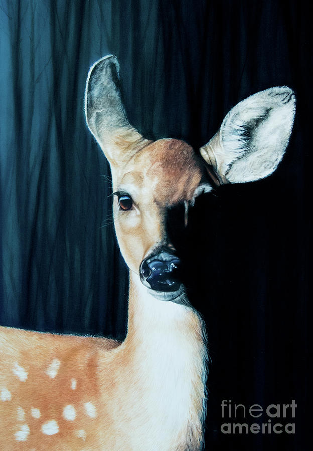 Deer Pastel - Oh Deer by Joni Beinborn