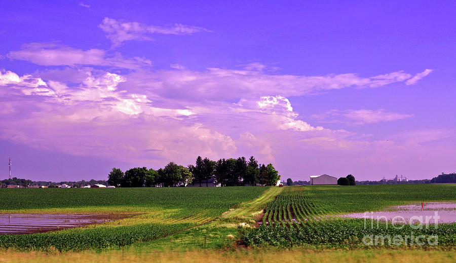 Ohio Farmland 2 #1 Photograph by Lydia Holly