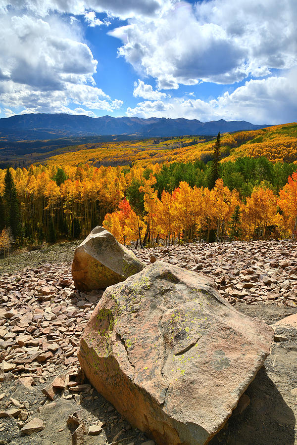 Ohio Pass Aspens #3 Photograph by Ray Mathis
