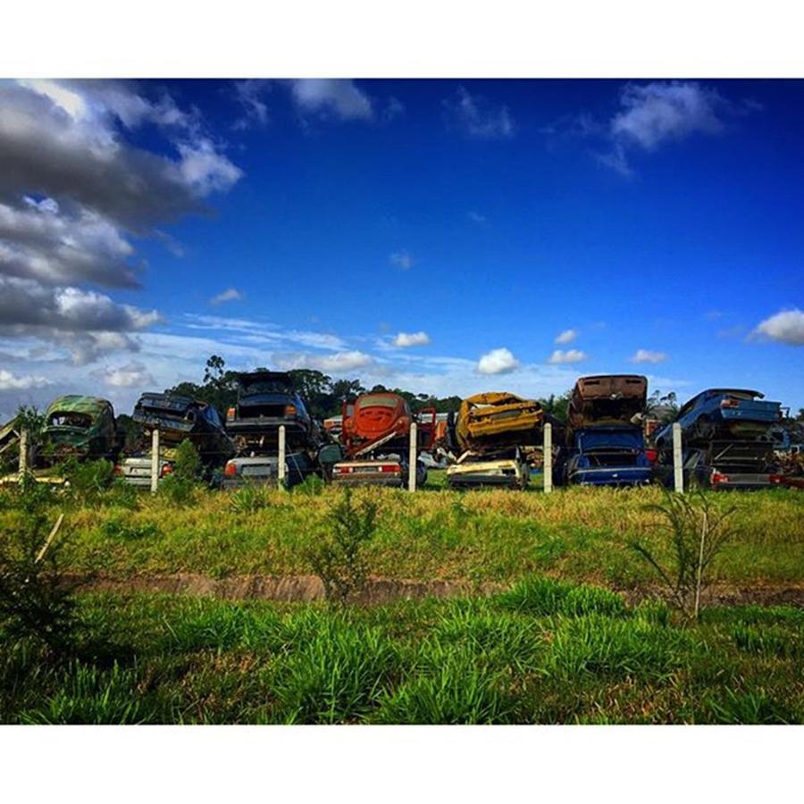 Landscape Photograph - Old And Abandoned Vehicles In Junk Yard #1 by Kiko Lazlo Correia