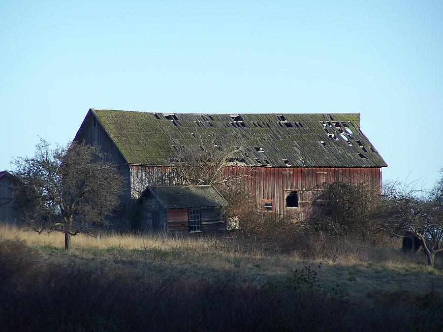 Old Barn #1 Photograph by Gene Ritchhart