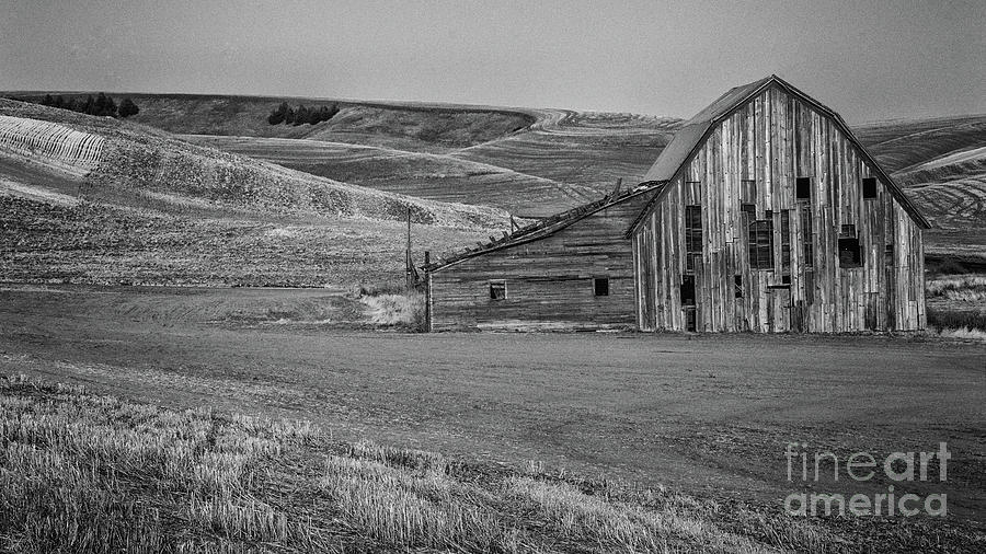 Old Barn #1 Photograph by John Greco