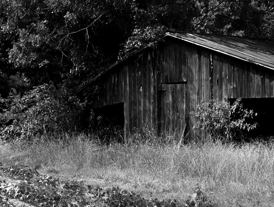 Old Barn #1 Photograph by Karen Harrison Brown