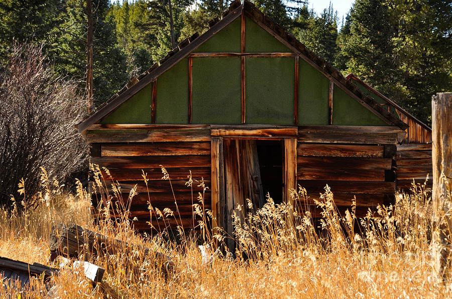 Old Barn Photograph By Susan Chesnut