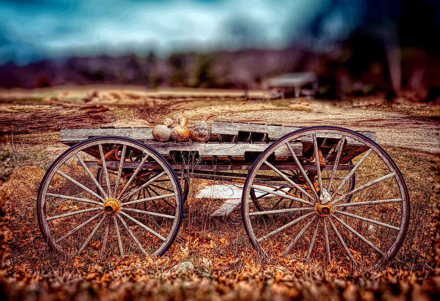 Old Cart #1 Photograph by Lilia S