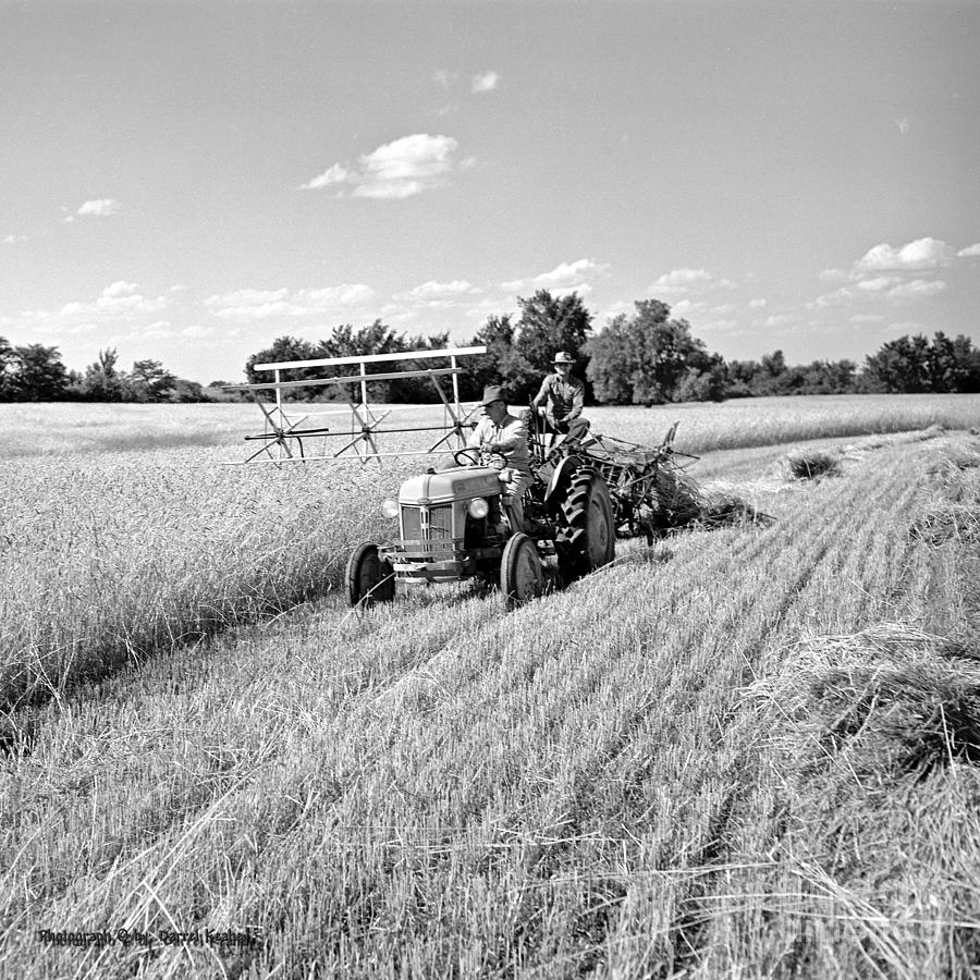 Old Combine #1 Photograph by Larry Keahey