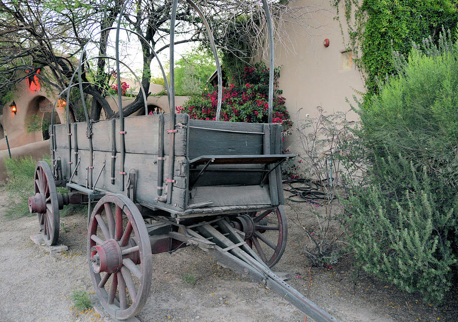 Old Covered Wagon Photograph by Nancy Jenkins - Fine Art America