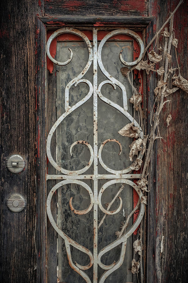 Old Door Detail #1 Photograph by Carlos Caetano