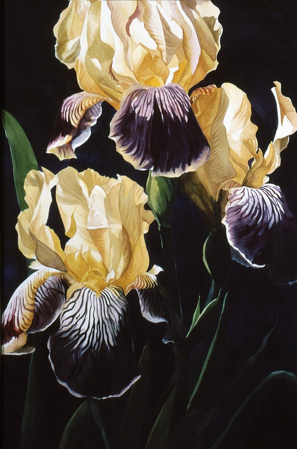 Old Fashion Iris #1 Painting by Alfred Ng