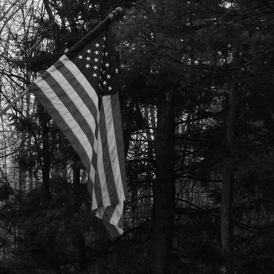Old Glory in Black and White Photograph by Bill Tomsa