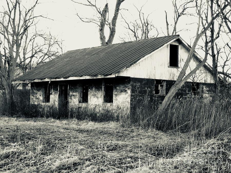 Old Homestead 2 Photograph by Michael Krek