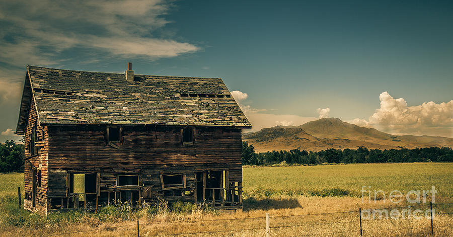 Old Homestead Photograph by Robert Bales