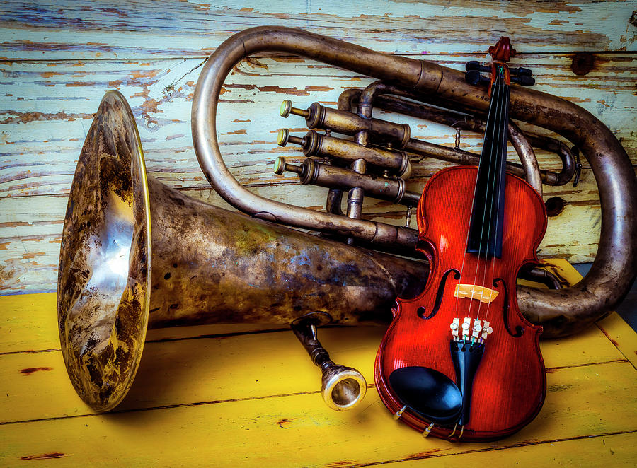 Old Horn And Violin #1 Photograph by Garry Gay