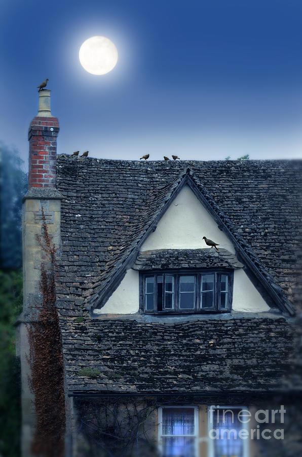Old House #1 Photograph by Jill Battaglia