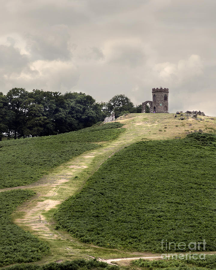 Old John Of Bradgate Park #1 Photograph by Linsey Williams