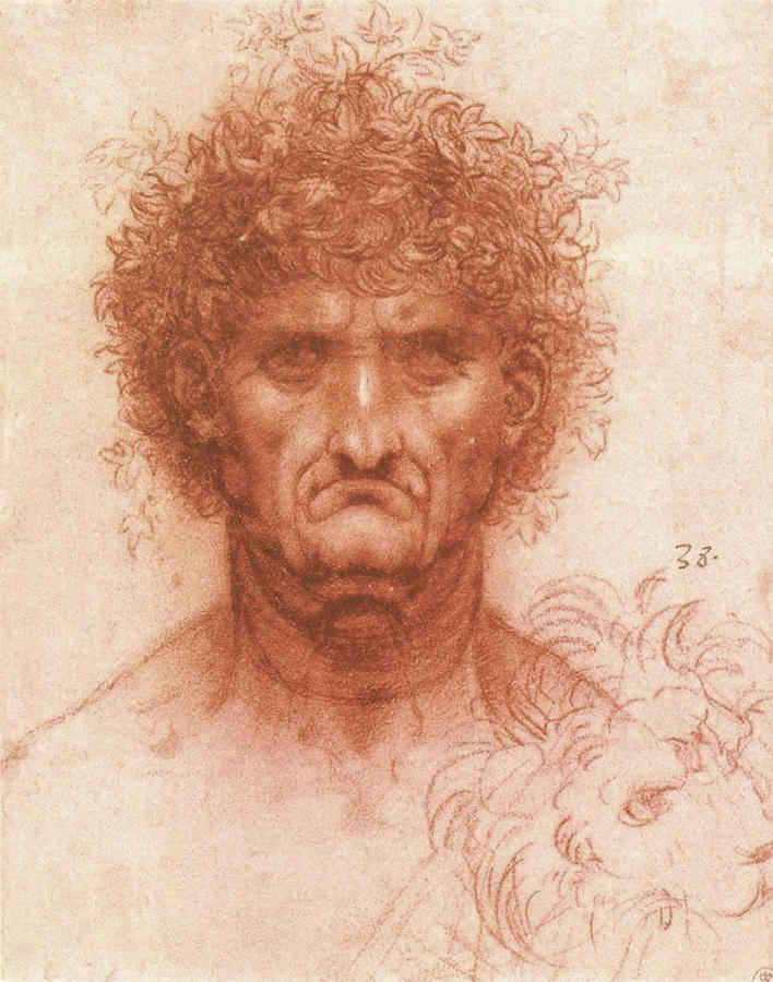 Leonardo Da Vinci Drawing - Old man with ivy wreath and lions head #1 by Leonardo da Vinci