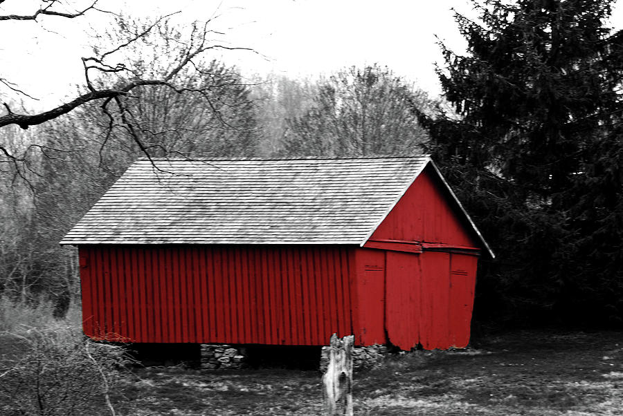 Old Red #1 Photograph by Lori Tambakis