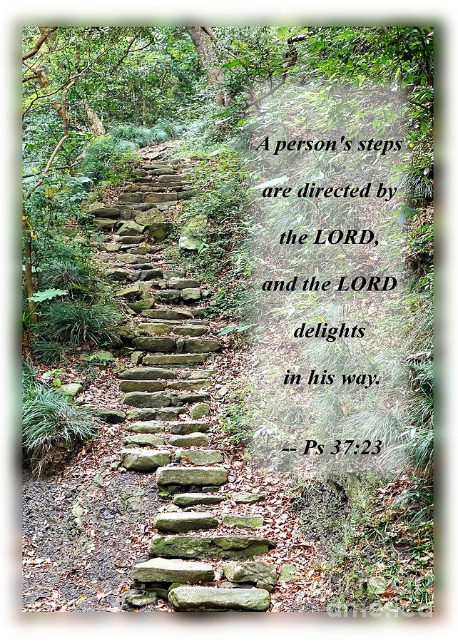 Old Stone Path In A Dense Forest With Scripture Photograph by Yali Shi