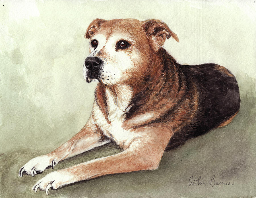 Dog Painting - Old Timer #1 by Arthur Barnes