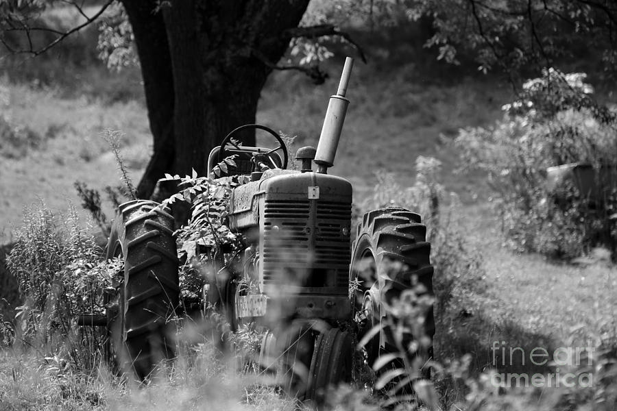 Old Tractor #1 Photograph by Dwight Cook